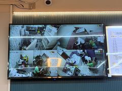 -唐小姐の私宠·宠物洗护美容·撸猫馆·购宠(周浦万达旗舰店)