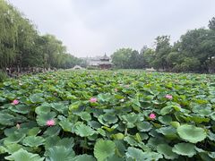 -莲池书院博物馆