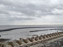 -南汇嘴观海公园