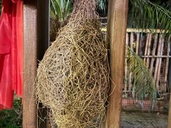 -火咂咂竹筒宴(告庄店)