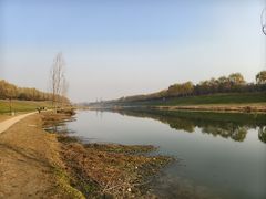 -洨河生态公园