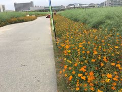 -光明小镇欢乐田园