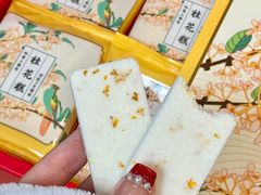 -沈大成(南京东路店)