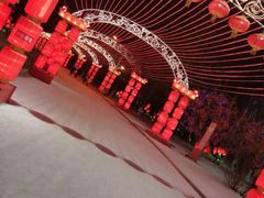 -沈阳奥体冰雪嘉年华