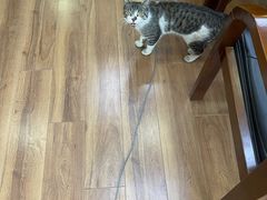 -格日勒阿妈蒙古厨房(巨海店)