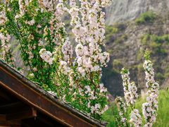 -龙庆峡风景区