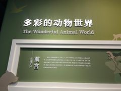 -国家自然博物馆