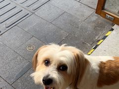 -Radar Coffee(思南路店)