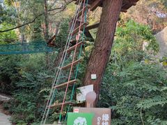 -芦仙山景区-飞越丛林探险乐园