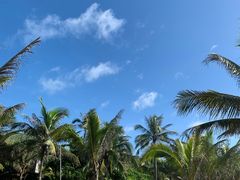 -三亚海棠湾喜来登度假酒店大堂吧
