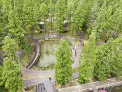 -黄海国家森林公园