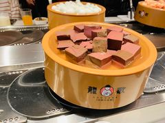 -龍歌自助小火锅(崂山丽达店)