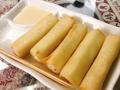 炸牛奶-周大娘牛乳(旧寨古村总店)