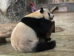 -海南热带野生动植物园