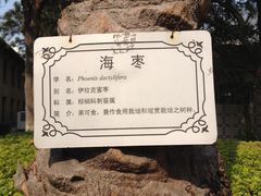 -胡里山炮台