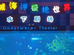 -泉城欧乐堡海洋极地世界