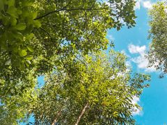 -白鹭湾湿地公园