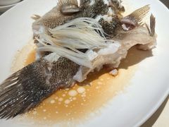 清蒸笋壳鱼-利苑酒家(华熙国际店)