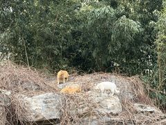 -燕郊植物园