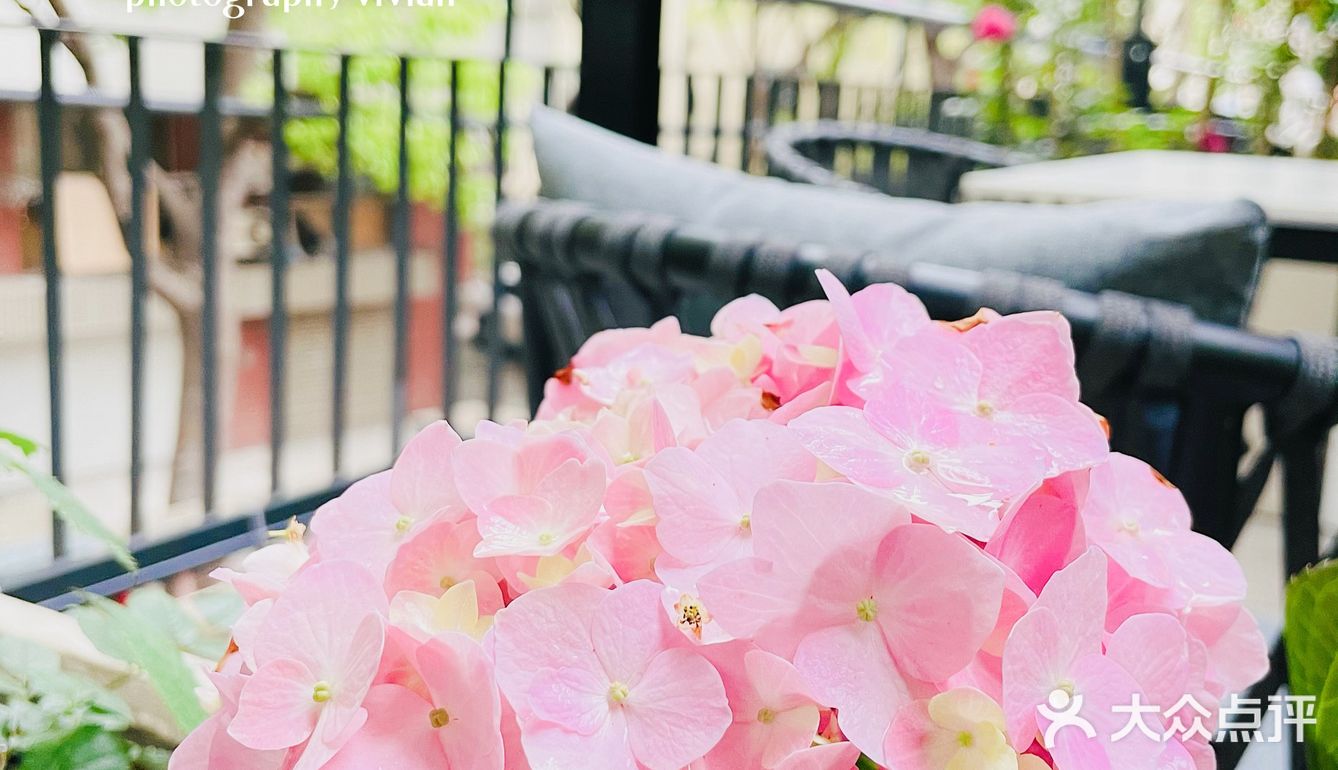 沪上花园露台下午茶Ombra华丽来袭