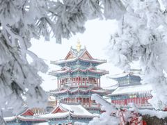 -老雒阳面馆·水席(王城路店)