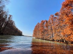 -上海海湾国家森林公园