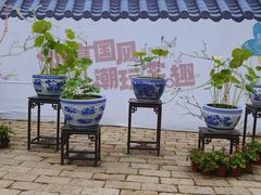 -莫愁湖公园