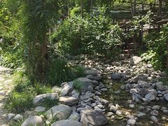 -幽岚山·童话森林