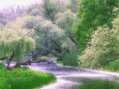 -上海共青森林公园