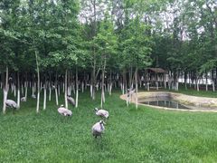 -艾溪湖湿地公园