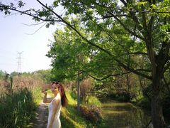 -桤木河湿地公园