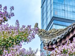 -古大圣慈寺