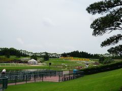 -迪茵湖田家舍生态农场