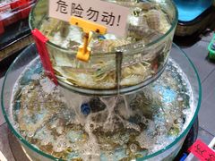 -强记海鲜·大排档(蛇口新街店)