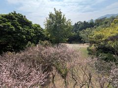 -草庵摩尼教遗址公园
