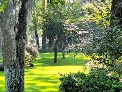 -浙江西子宾馆·瑶园咖啡厅