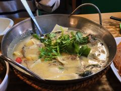 青咖喱牛腩-热浪岛马来餐厅