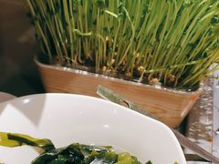 -海底捞火锅(吾悦广场店)