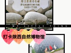 -陕西自然博物馆