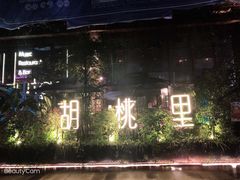 -胡桃里乐队酒馆(鎏嘉码头店)