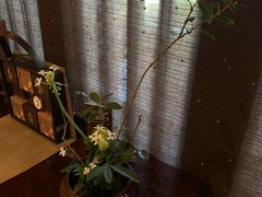 -西安华清御汤酒店