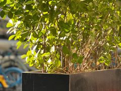 -婕妮璐超市 Jenny Lou’s Shop(三里屯店)