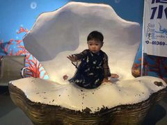 -泉城欧乐堡海洋极地世界