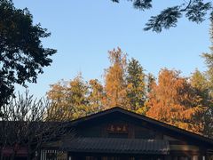 -海珠湖公园