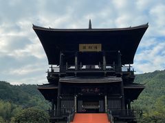 -大唐贡茶院
