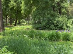 -国家植物园南园