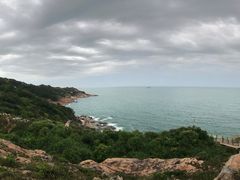 -广东惠东海龟国家级自然保护区