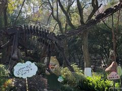-杭州少年儿童公园