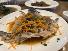 -悠悠美食