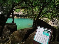 -广州白江湖森林公园